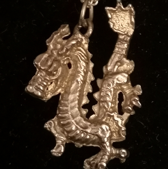 Other - ❤️ Silver Dragon Necklace 18"